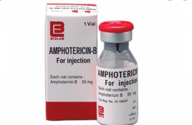 Black Fungus: Govt imposes ban on export of Amphotericin-B injections forthwith